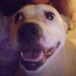 Profile Picture of Anna-rose Gearhart (@annarosegearhart) on Instagram
