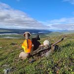 Profile Picture of Joel Rohaut (@joelrohaut) on Instagram