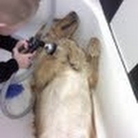 Kelly Quinton - Quora Profile Picture of Kelly Quinton (@kelly-quinton) on Quora