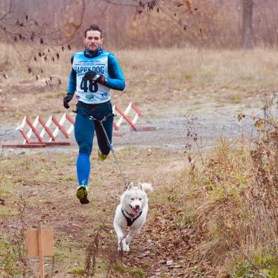 Profile Picture of Florian Haushammer (@firebird6824) on Twitter
