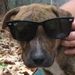 Profile Picture of Christopher Hinnant (@christopherhinn) on Pinterest