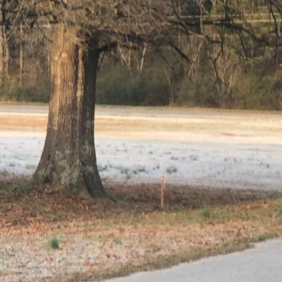 Profile Picture of David Gant (@DavidGa08828365) on Twitter