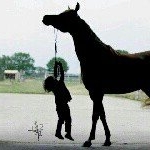 Profile Picture of david jerez (@davidjerez24) on Instagram