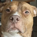 Profile Picture of Eli Fleming (@eli.fleming.14) on Facebook