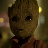 Profile Picture of Carl Werther (@@carlwerther) on Tiktok