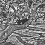 Profile Picture of Giuseppe Piscitelli (@piscitelli_peppe) on Instagram