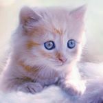 Profile Picture of iamalvinmarc (@melvin.marchell) on Instagram