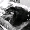 Profile Picture of leojankowski5 (@leo190872) on Tiktok