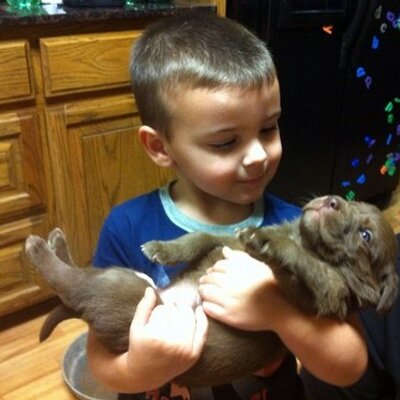 Profile Picture of James J. Branam (@BranamLabs) on Twitter