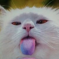 Profile Picture of Meelis Vaba (@meelis-vaba) on Quora