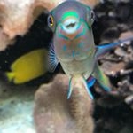 Profile Picture of Michael Heinz (@michaelheinz) on Instagram