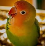 Jack Lapis - Facebook Profile Picture of Jack Lapis (@jack.lapis.2025) on Facebook