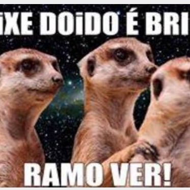 Profile Picture of Vitor Mario Branco (@VitorMarioBran1) on Twitter