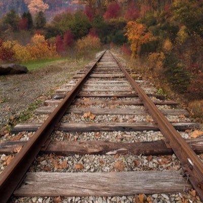 Profile Picture of Maxwell (@Blanche95760206) on Twitter