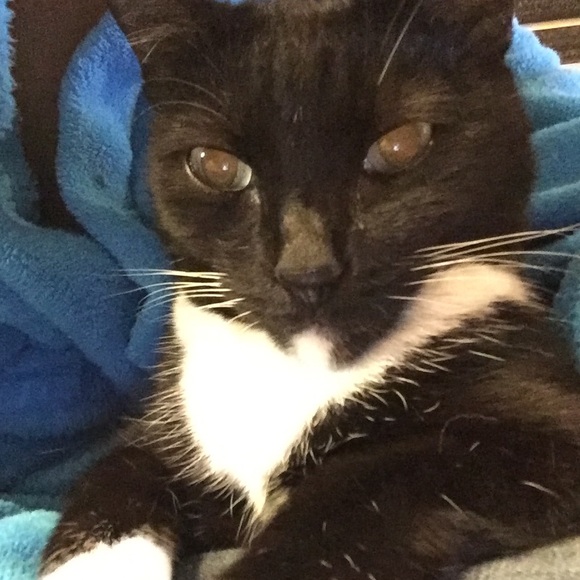 Profile Picture of Kim Stanger (@sdstanger) on Poshmark