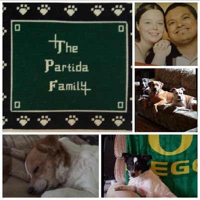 Profile Picture of Abel Partida (@abel_lovedogs) on Twitter