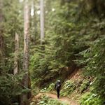 Profile Picture of Anna Dybaś Tokarz (@dybastokarz) on Instagram