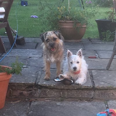 Profile Picture of Eleanor Cummings (@Eleanor63668300) on Twitter
