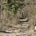 Profile Picture of Ashburnham (@ashburnhamadam) on Instagram