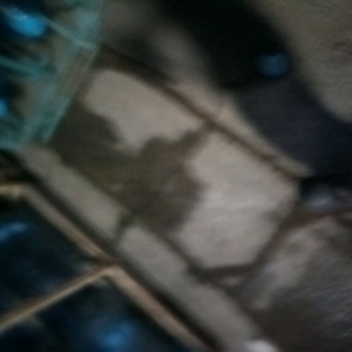 Profile Picture of Brian Darks (@@briandarks) on Tiktok