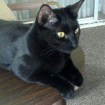 Profile Picture of lorihazlett (@lorihazlett) on Instagram