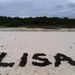 Profile Picture of Lisa Hsieh (@lrhsieh) on Pinterest
