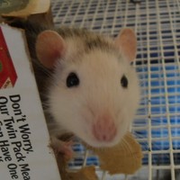 Christopher Radke - Quora Profile Picture of Christopher Radke (@christopher-radke-1) on Quora