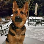 Profile Picture of Brenda LaBarre Marsh (@chloemarsh53) on Instagram