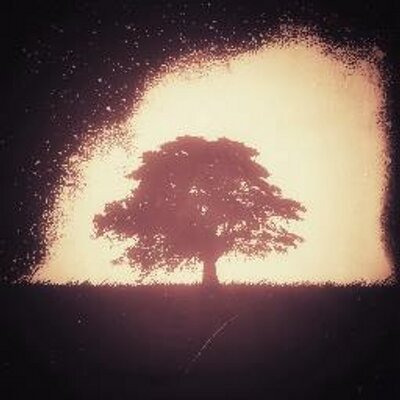 Profile Picture of Craig Wickstrom (@CraigWickstrom) on Twitter