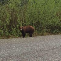 Profile Picture of Cheryl Walters (@cheryl-walters-20) on Quora