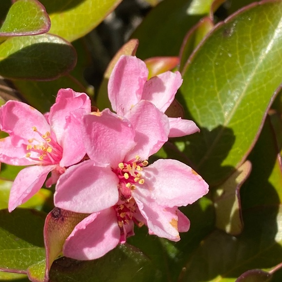 Profile Picture of Breeze Kelley (@breeze_kelley) on Poshmark