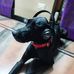 Profile Picture of Devi Prasanna Dwarampudi (@deviprasanna.dwarampudi.3) on Facebook