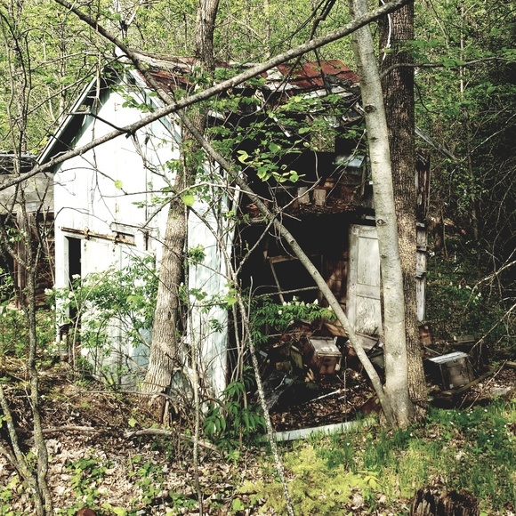 Profile Picture of Victoria Cochran (@victoriac34) on Poshmark