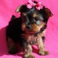 Profile Picture of Michael Berger (@michael-berger-90) on Quora