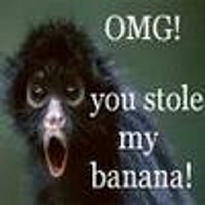 Daniel Panetta - Twitter Profile Picture of Daniel Panetta (@yoyopeace) on Twitter