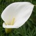 Profile Picture of Amanda Ernest (@ae35230) on Pinterest