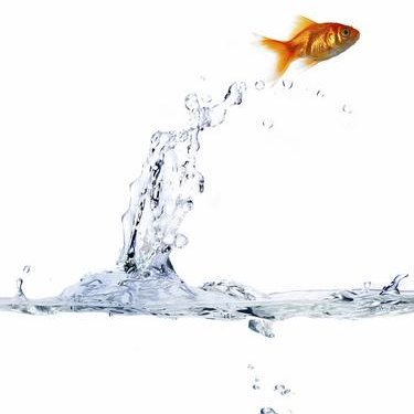 Profile Picture of Alexander Olarte Ola (@jimmiolarte) on Twitter