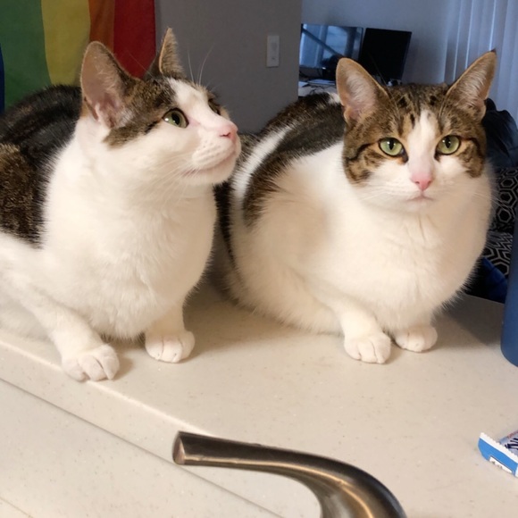 Profile Picture of Aaron Braunstein (@irocker93) on Poshmark