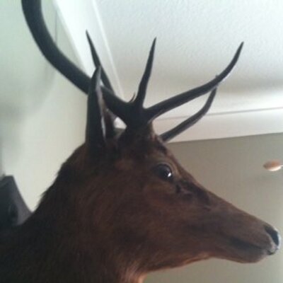 Profile Picture of Connor Galloway (@connorgalloway2) on Twitter