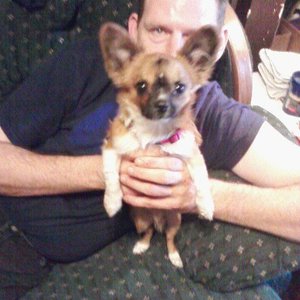 Profile Picture of Cliff Groves (@cliff.groves) on Myspace