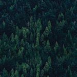 Profile Picture of Tabatha Bowen (@tabathabowenauthor) on Instagram