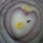 Profile Picture of Robert Carman (@robertcarman61gmail.com7) on Instagram