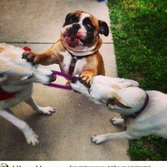 Profile Picture of Rudy Lucero (@rrluce) on Poshmark