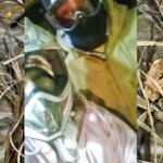 Profile Picture of Tyler Krick (@tylerkrick56) on Instagram