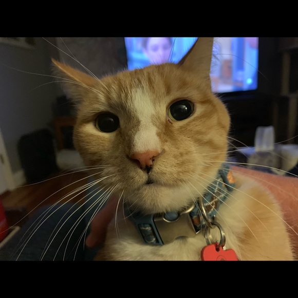 Profile Picture of Bob Sparhawk (@bobsparhawk) on Poshmark
