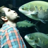 Profile Picture of Mak Ajanovic (@mak-ajanovic) on Quora