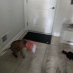 Profile Picture of Paula Hildebrand Lazzaro (@paula.lazzaro.10) on Instagram