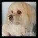 Profile Picture of Shirley Steff (@shirley.steff.7) on Facebook