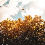 Profile Picture of Kennith Arredondo (@Kennith-Arredondo) on Facebook