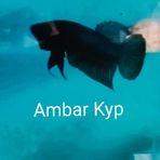 Profile Picture of Ambar Betta Skip (@ambar.skip) on Facebook